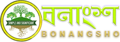 /images/Bn.ico